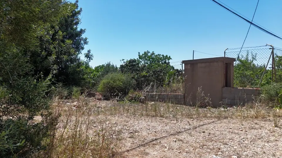 Other — Loulé